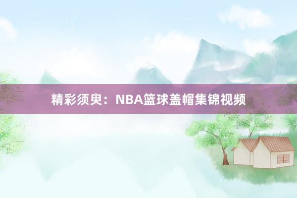 精彩须臾：NBA篮球盖帽集锦视频